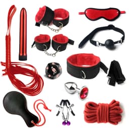 BDSM Kits (Red) 12 Set main view thumbnail